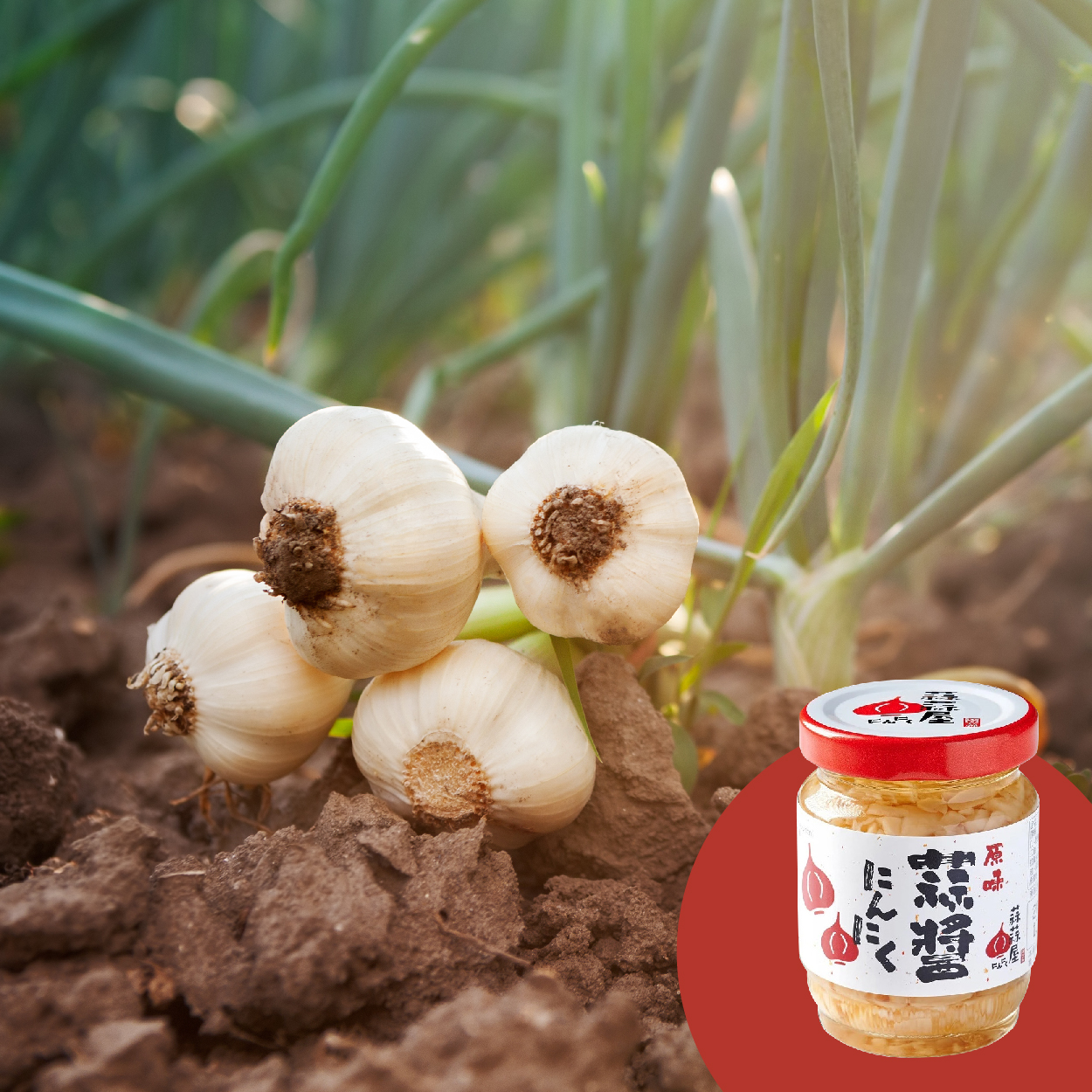 蒜蒜屋 原味蒜醬 搭什麼料理都好配 新一代國民下飯首選神器