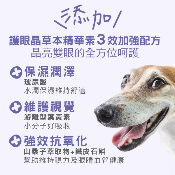 IN-Plus零食系保健品，犬護眼、貓舒壓保健，好吃又有效！
