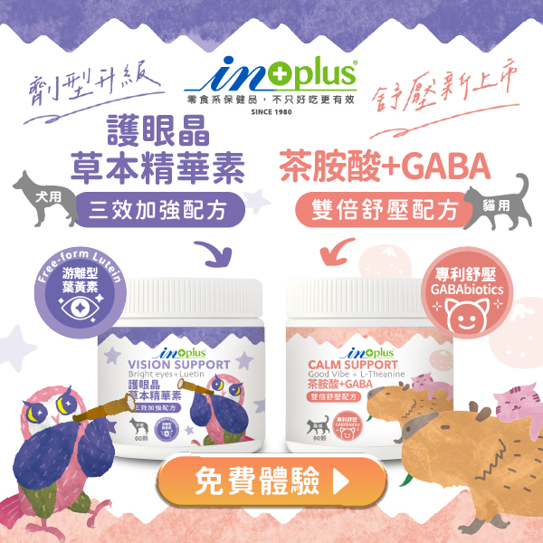 IN-Plus零食系保健品，犬護眼、貓舒壓保健，好吃又有效！