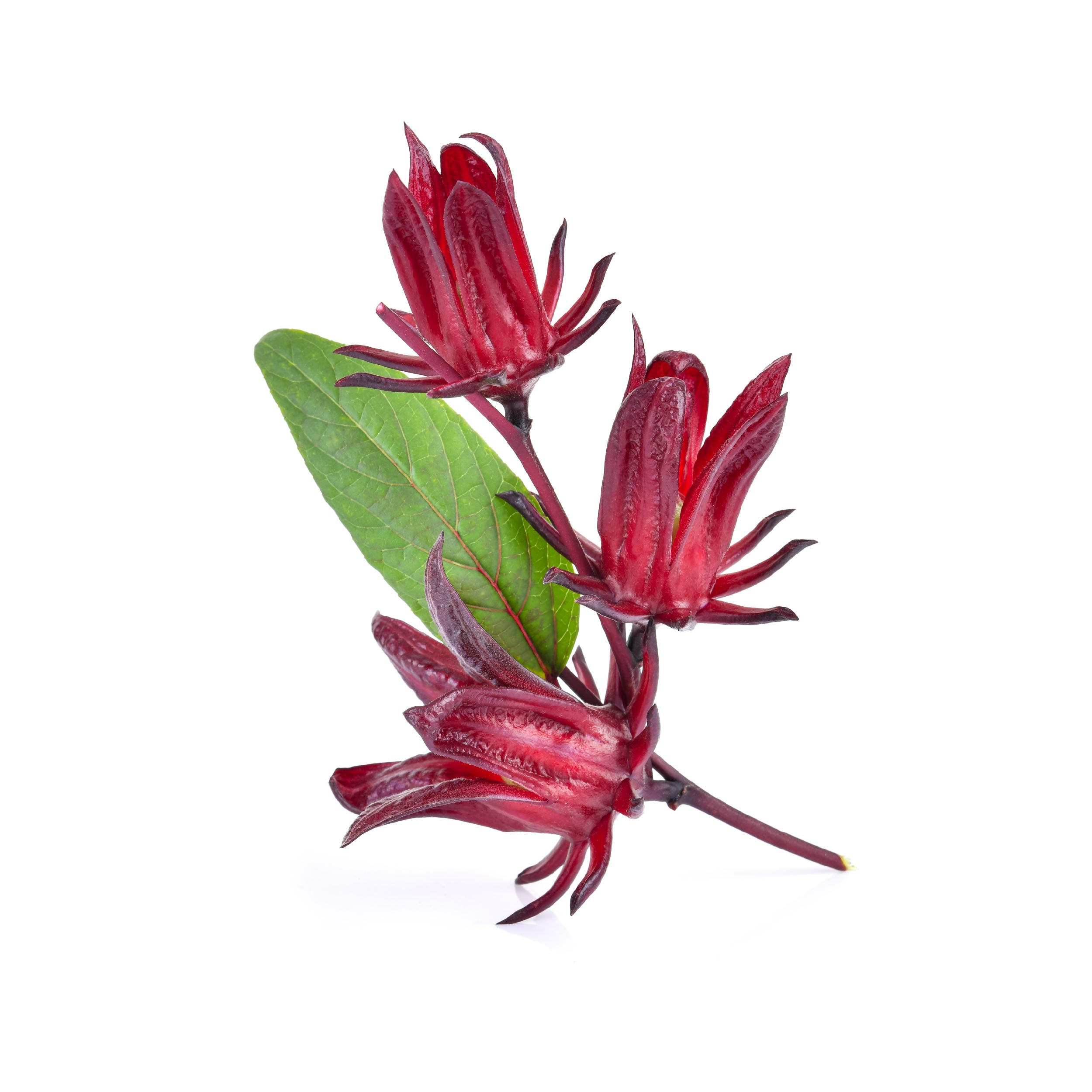 池上鄉農會 洛神花蒟蒻果汁凍，夏日補給清爽感
