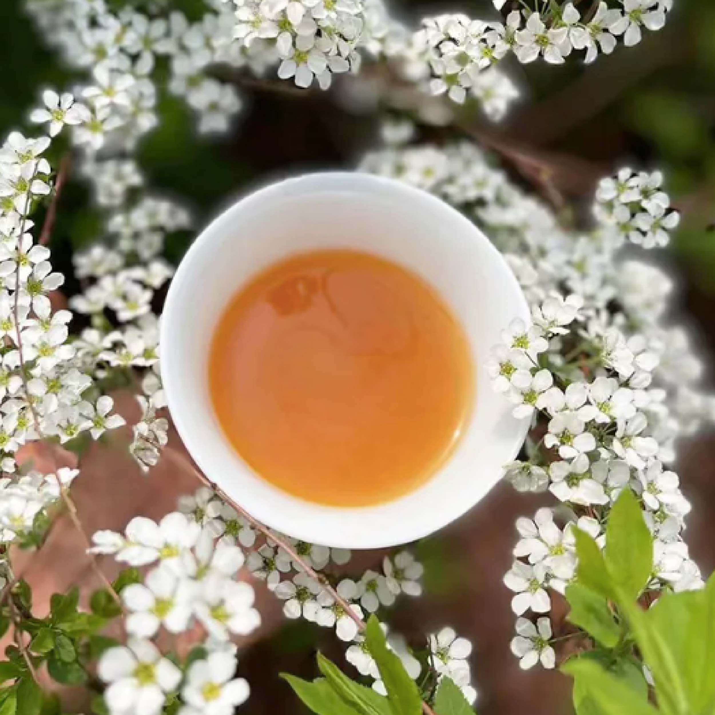 高仰三 木虌果露 來一同體驗來自天堂果實的清新滋味！