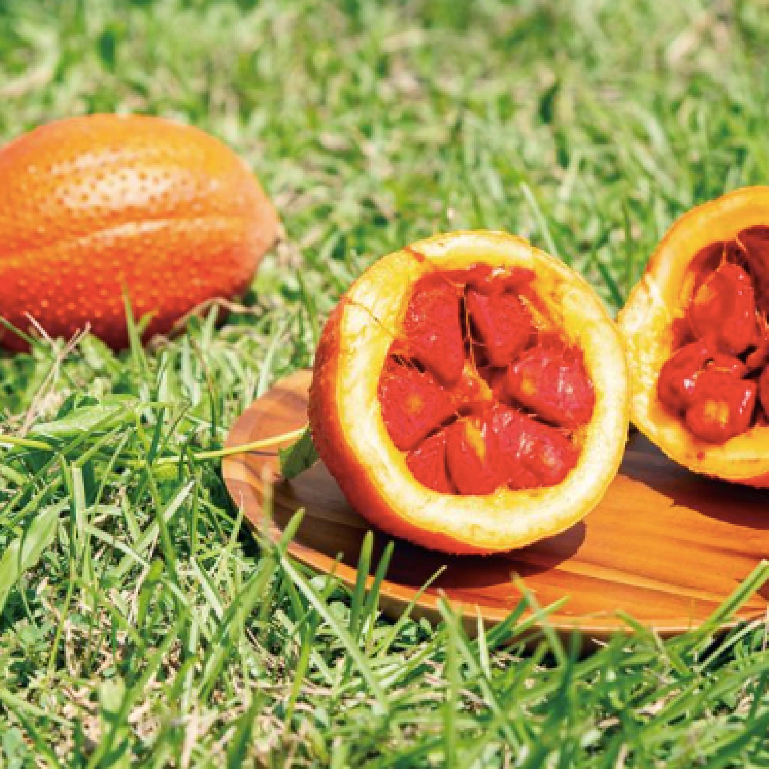 高仰三 木虌果露 來一同體驗來自天堂果實的清新滋味！