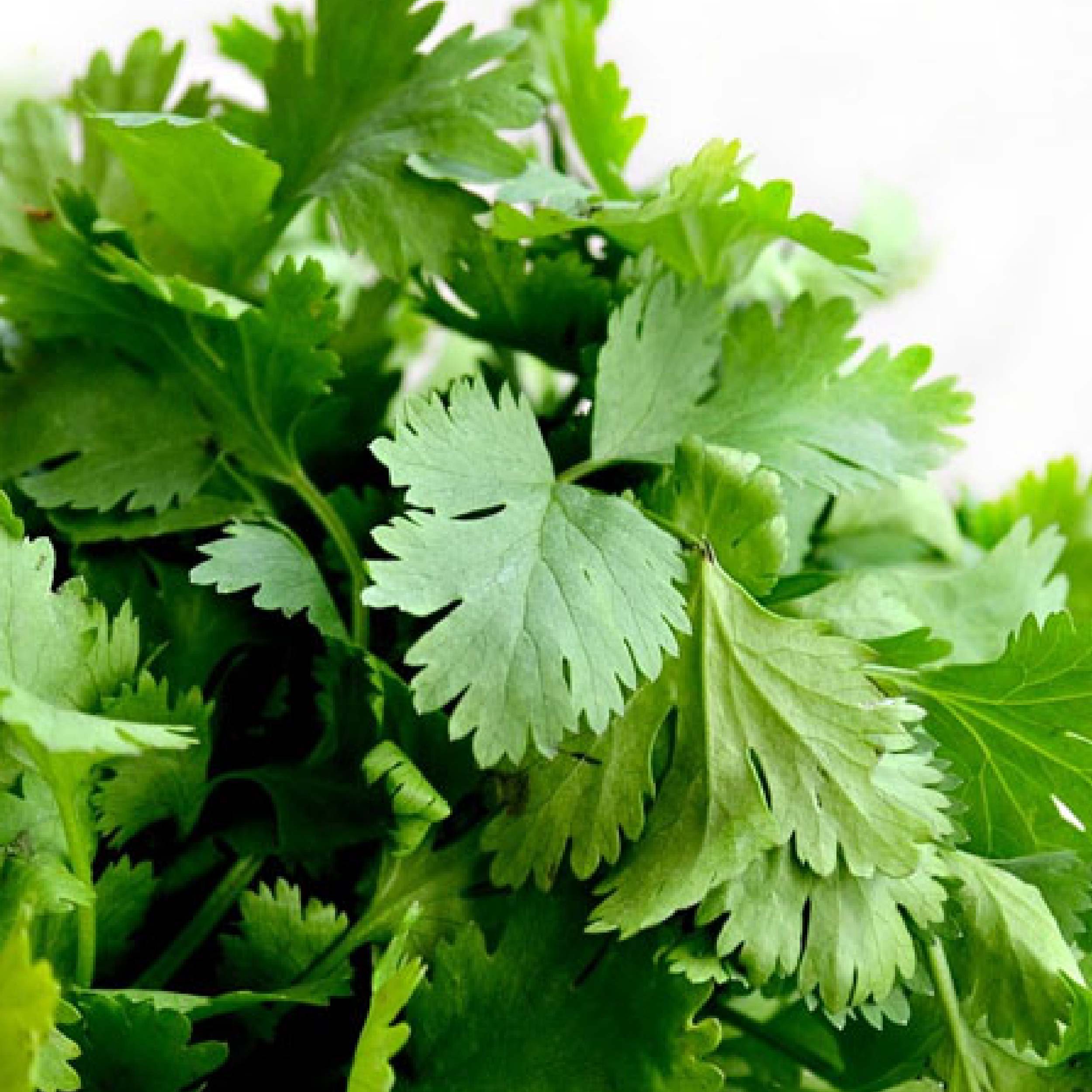 樂事 鮮切脆薯香菜口味薯條 神還原香菜風味 一口嚐盡驚奇口感！