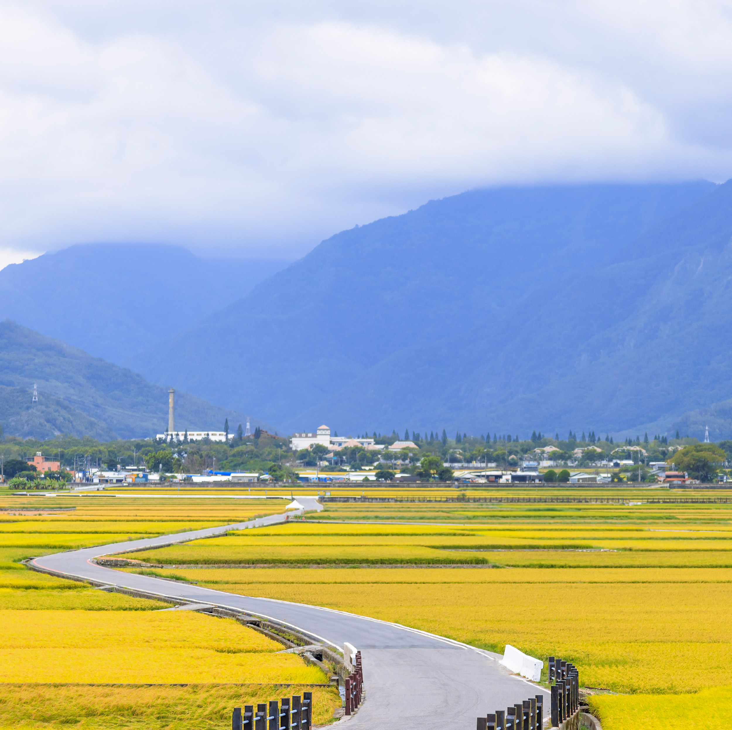日禾台東 嚐一口在地，選一份祝福