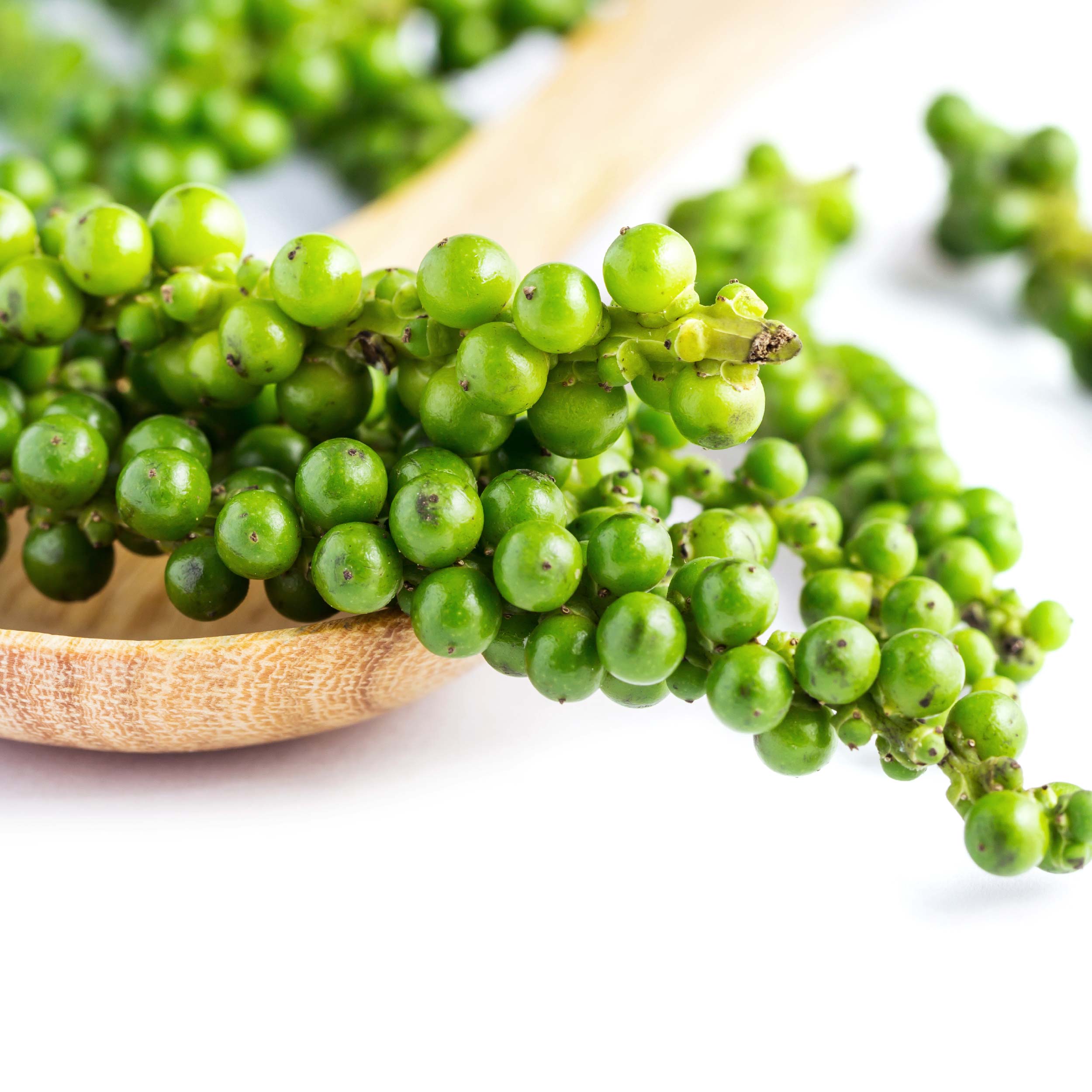 青花驕 麻辣鍋牛肉麵 一碗打開香麻新宇宙！濃、香、麻一次到位。