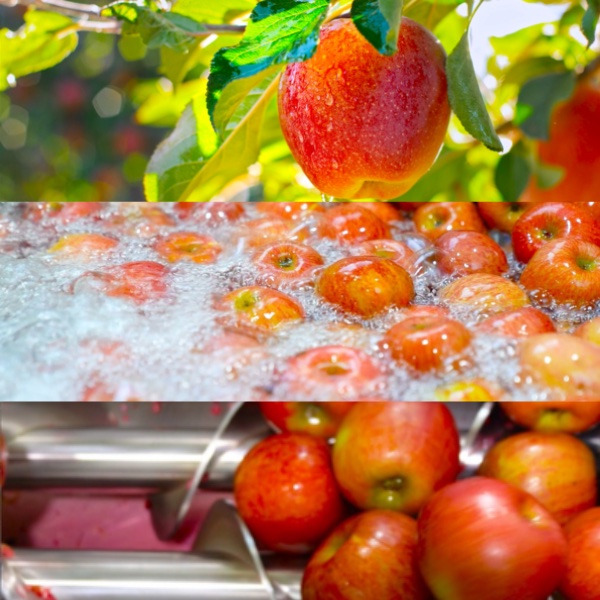 7-11人氣非濃縮還原果汁！保留大自然原始滋味！韓國原裝進口 爸爸的農場100%NFC蘋果汁