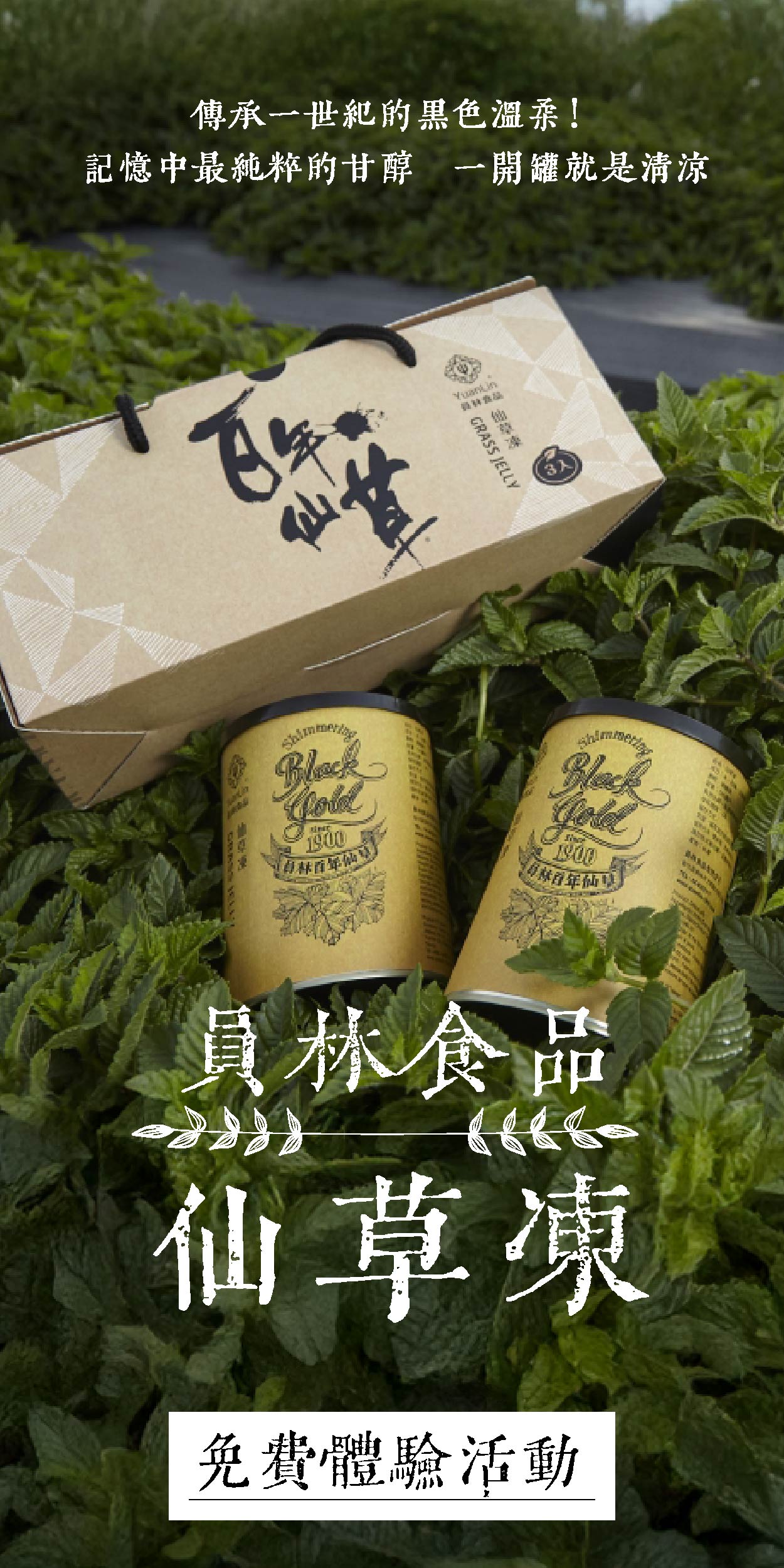 員林食品 仙草凍 傳承一世紀的黑色溫柔！記憶中最純粹的甘醇