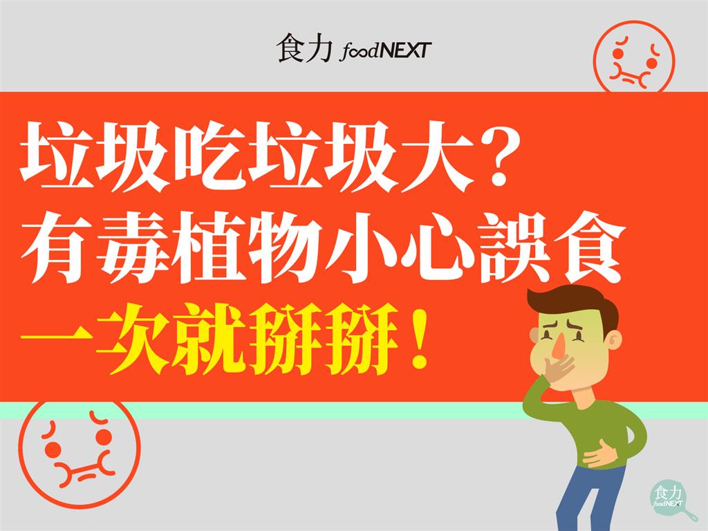 垃圾吃垃圾大 有毒植物小心誤食一次就掰掰 食力foodnext 食事求實的知識頻道