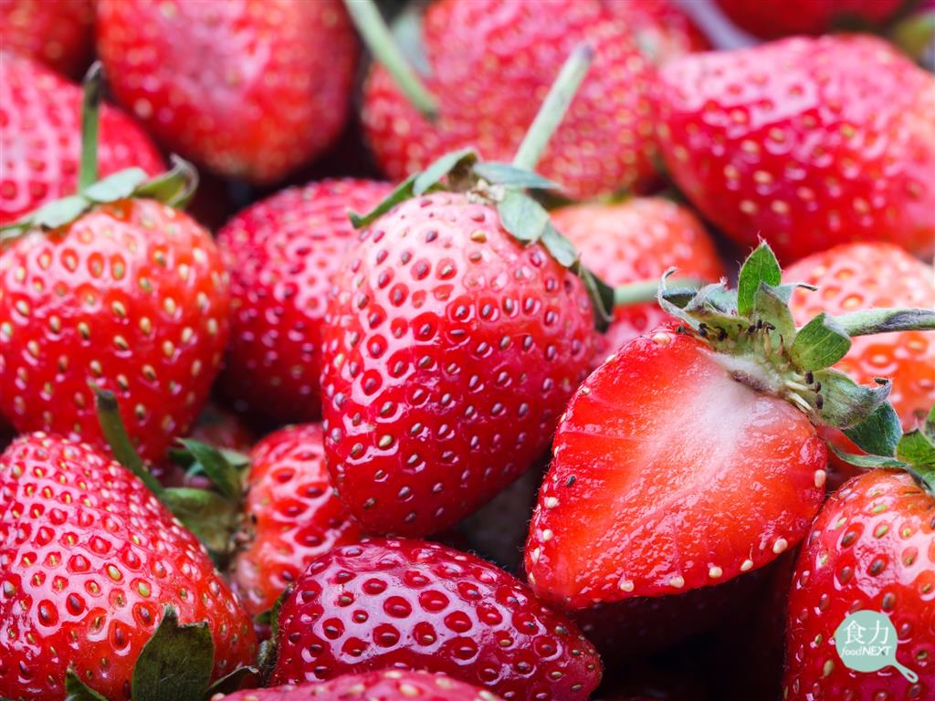 草莓無論中英文都叫「莓」，但事實上竟然是一場誤會？ @ 食力foodNEXT‧食事求實的知識頻道