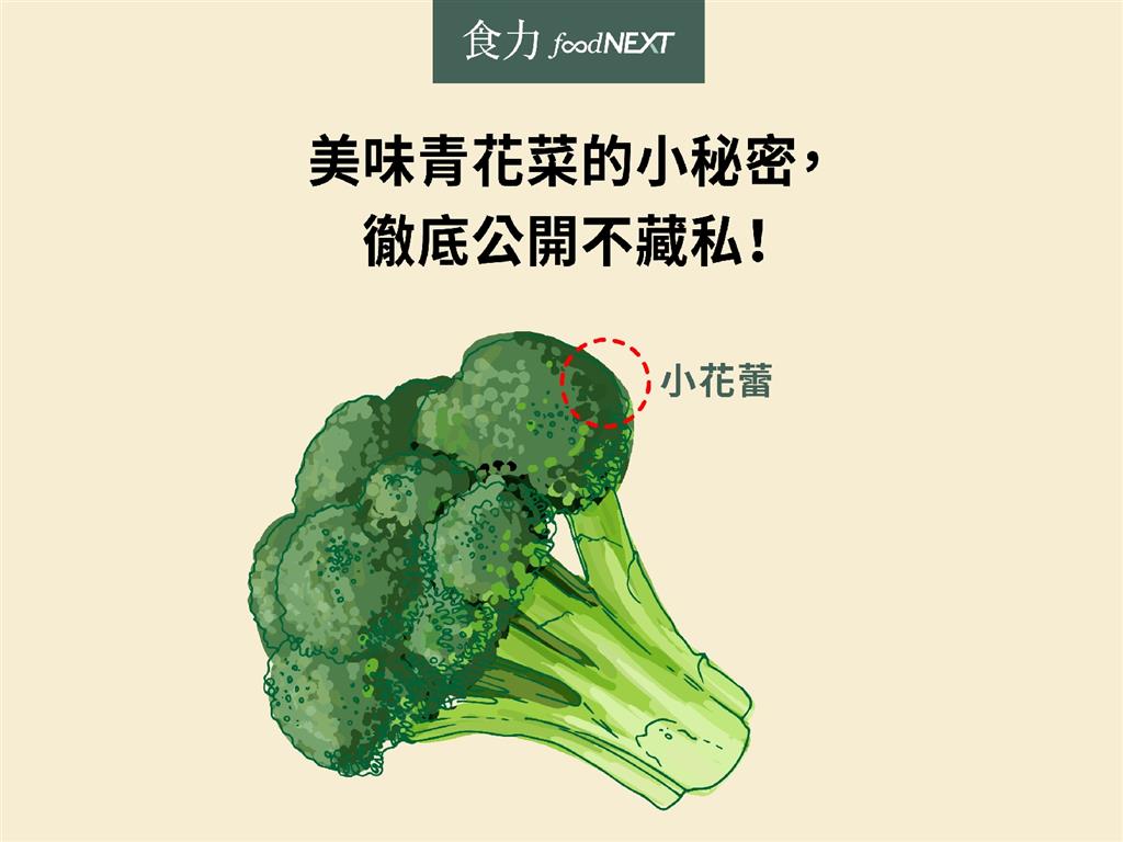 食聞 美味青花菜的小秘密 徹底公開不藏私 食力foodnext 食事求實的知識頻道