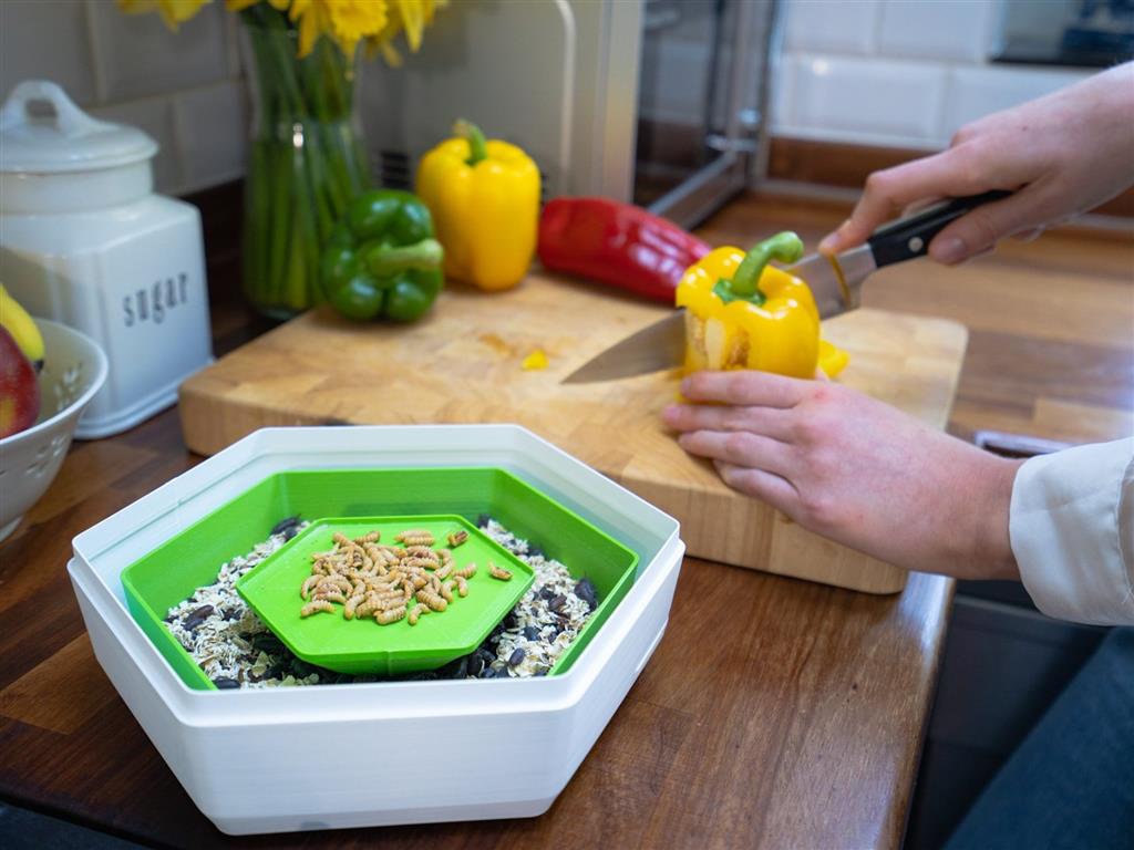 自己在家養昆蟲 自給自足 英國新創推出居家食用昆蟲養殖器 食力foodnext 食事求實的知識頻道