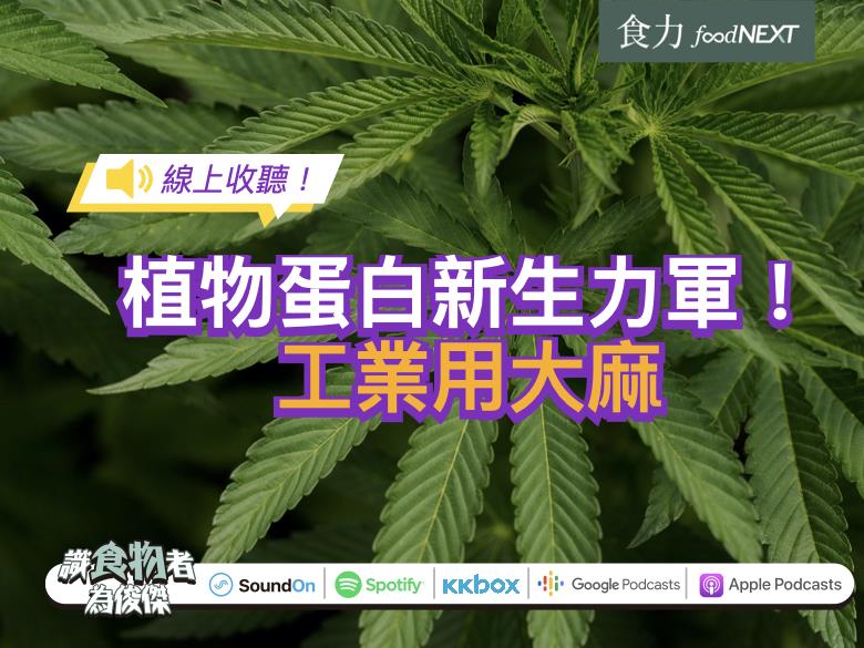 線上收聽 工業用大麻有望成植物蛋白新生力軍 食力foodnext 食事求實的知識頻道