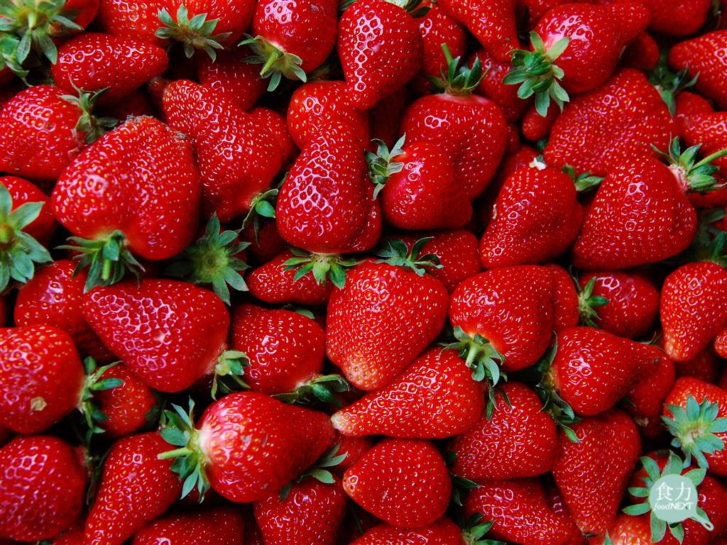 草莓受歡迎卻又被封為「最髒」水果？揭開農藥殘留超標背後的真相@ 食力foodNEXT‧食事求實的知識頻道