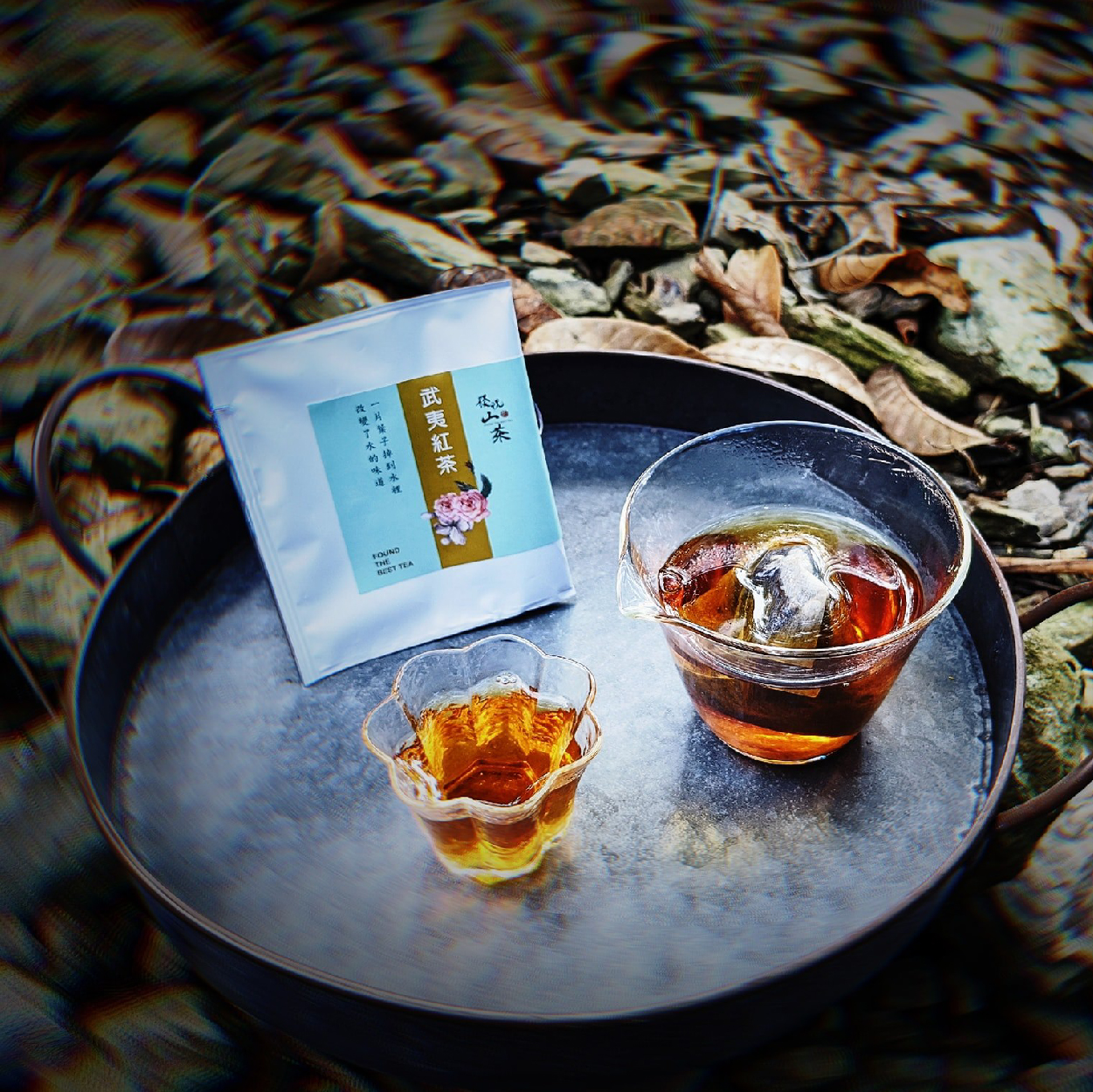 發現•山茶 六龜原生山茶 茶湯柔順多層次風味