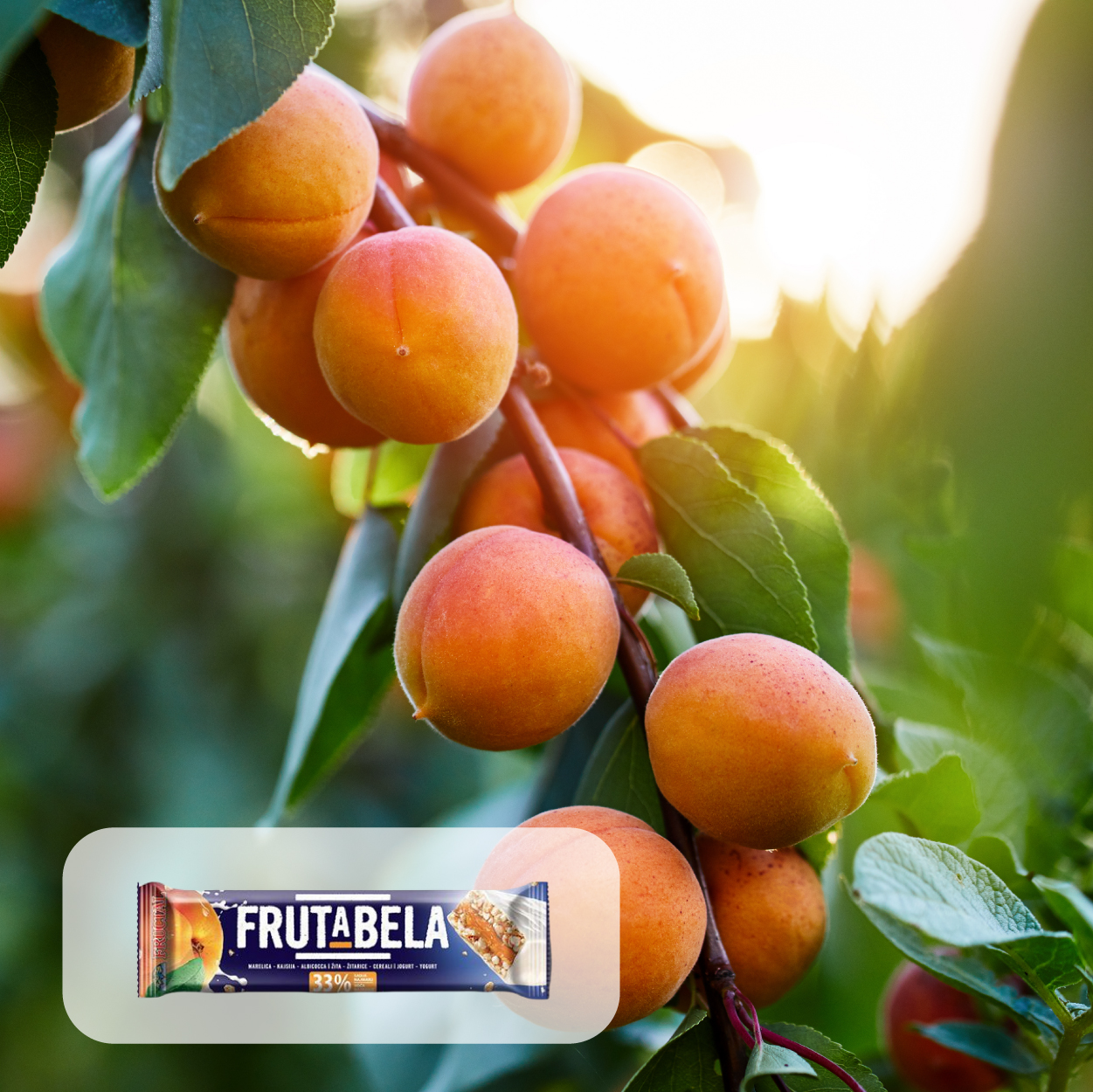 Frutabela 低卡纖果棒(杏桃與優格口味) 打破您對穀麥棒的既有印象