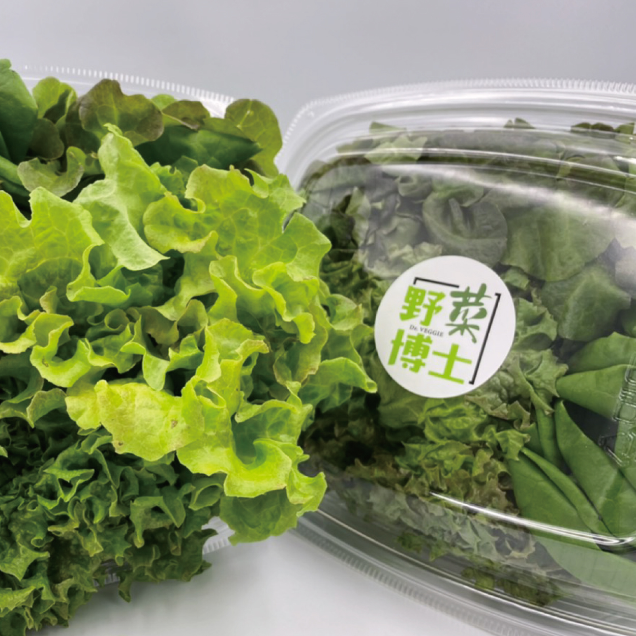 型農大聯盟 野菜博士 綜合生菜盒 吃下一整天的元氣健康