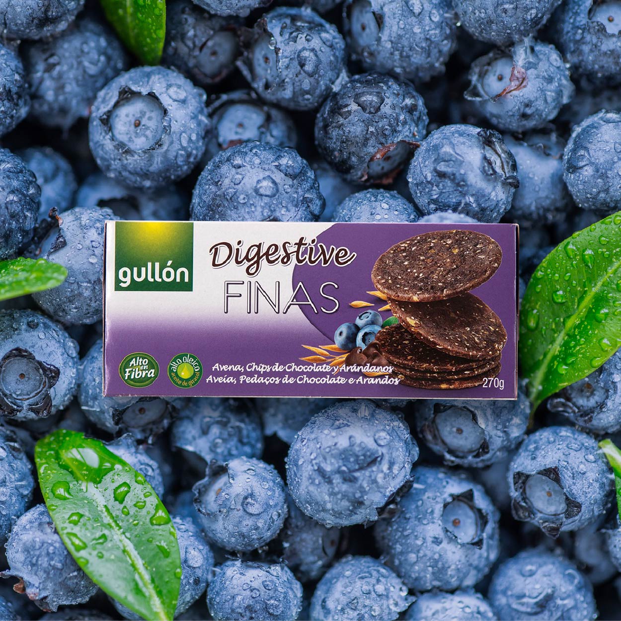 穀優 Gullon 藍莓巧克力消化餅 清爽果香 濃郁巧克力 健康活力每一天