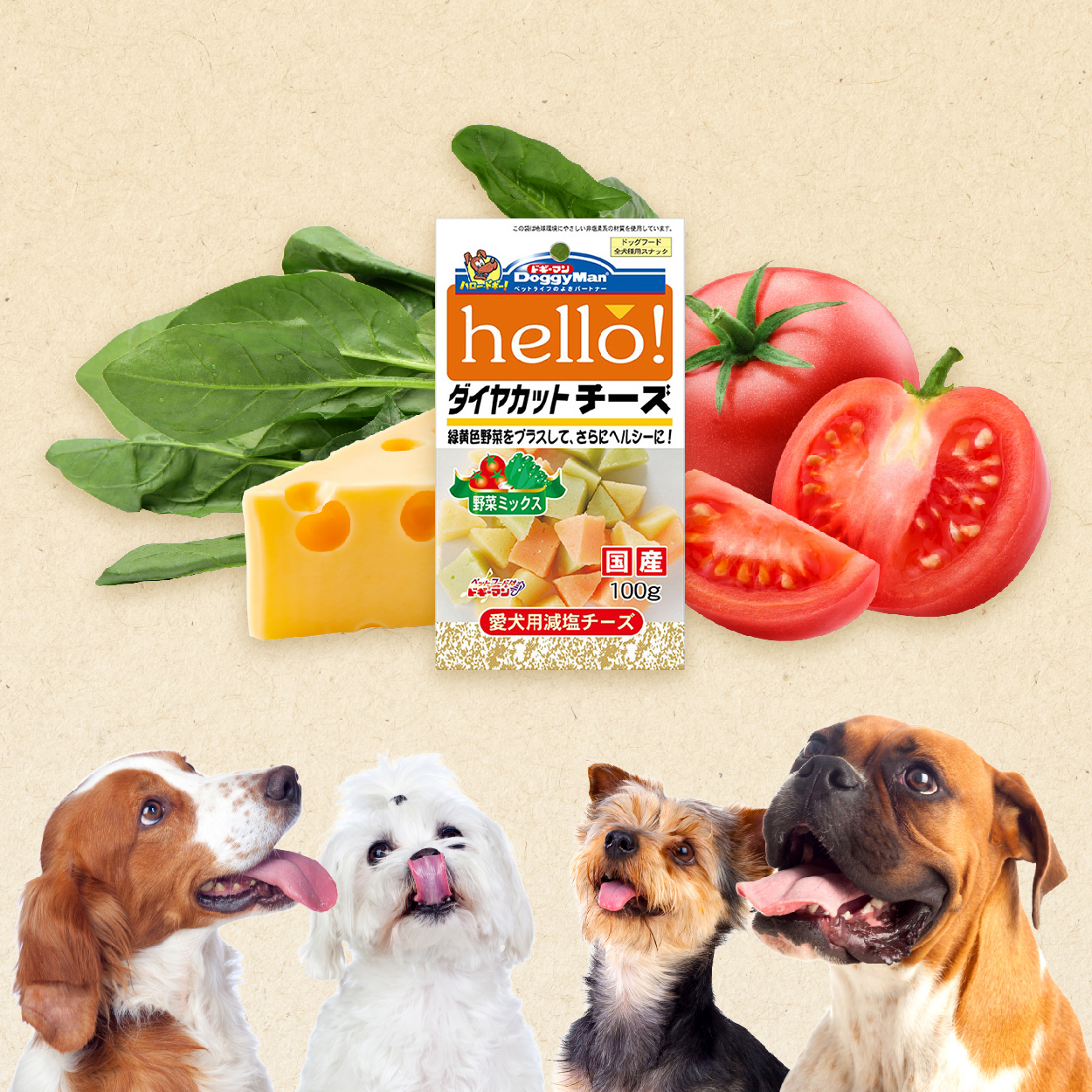 DoggyMan Hello! 犬用角切野菜起司塊 小巧起司零食 補充天然野菜營養