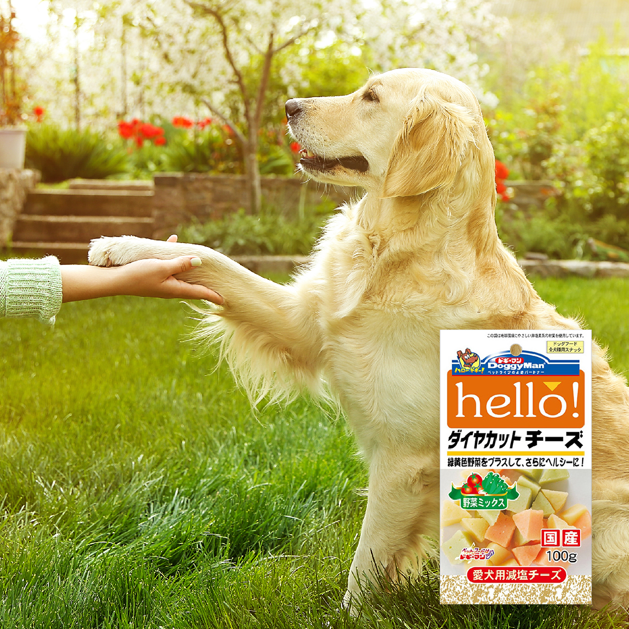 DoggyMan Hello! 犬用角切野菜起司塊 小巧起司零食 補充天然野菜營養