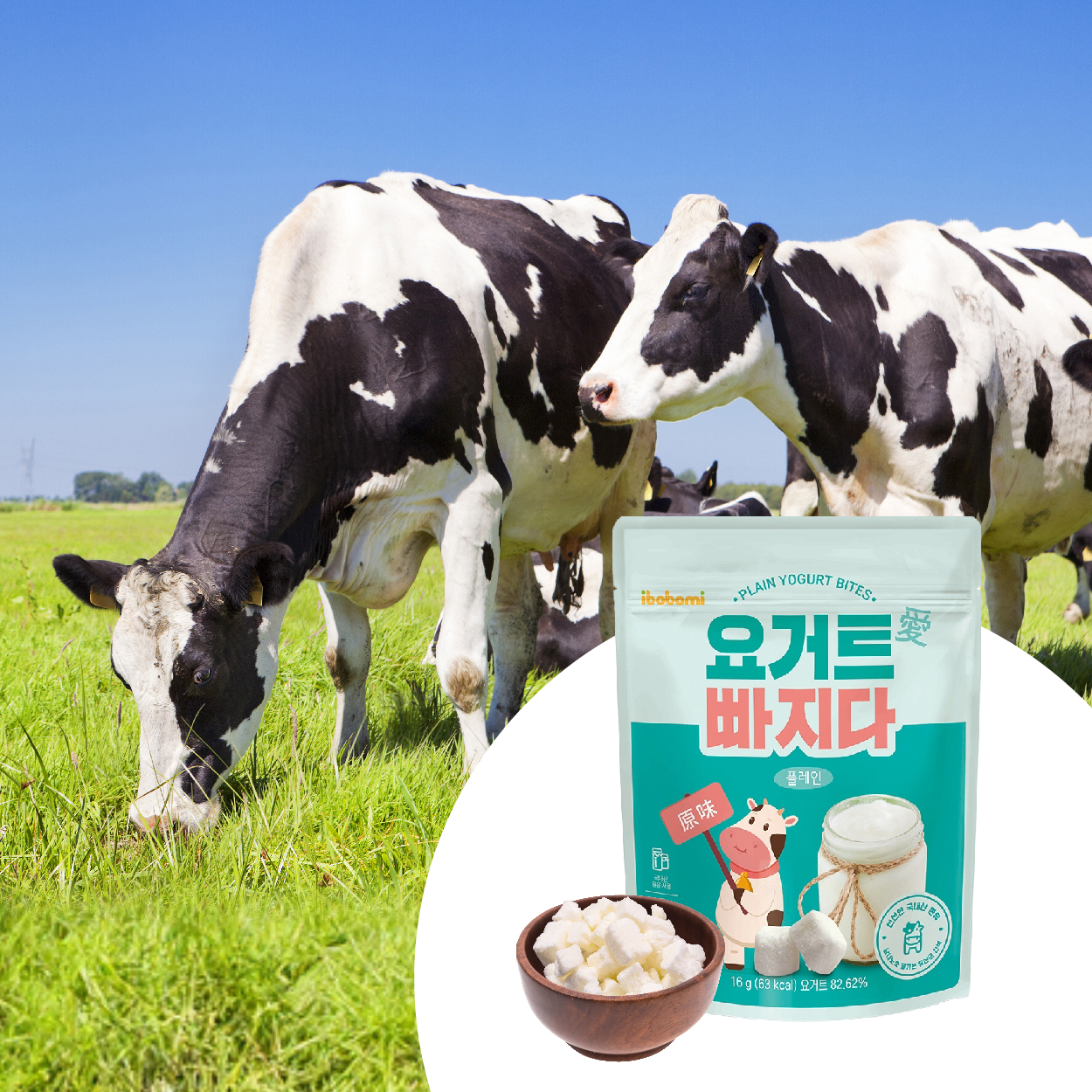 ibobomi 乳酸菌優格點心-原味 韓國國產生乳 營養滿分x濃醇奶香