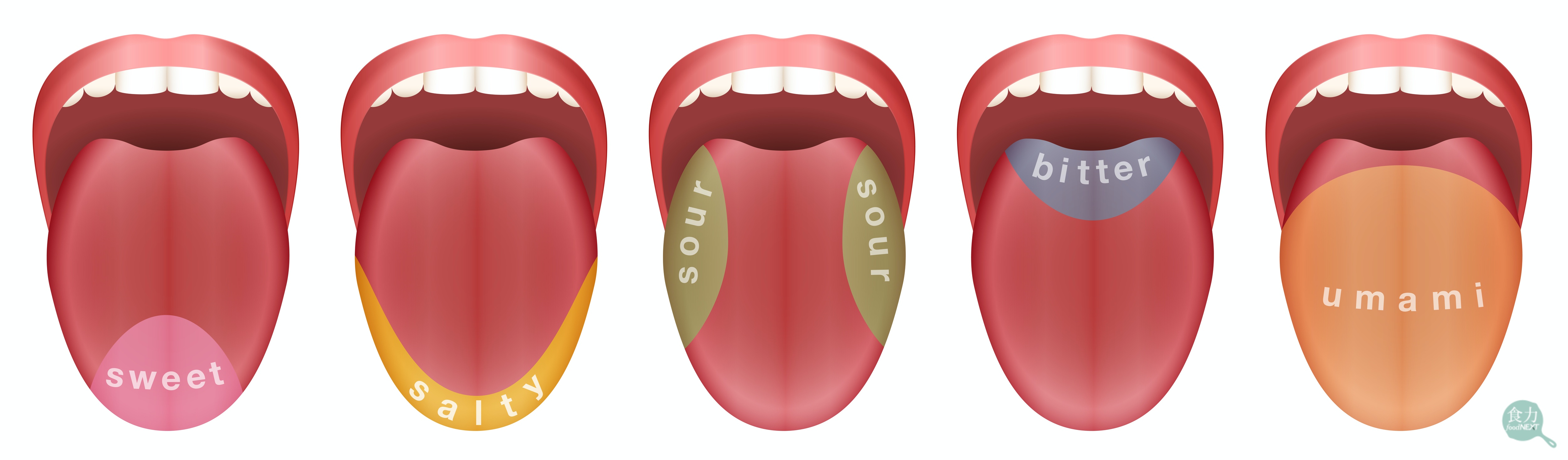 解压动画，舌苔上火后的舌头护理动画，沉浸式舌头护理过程 - 哔哩哔哩