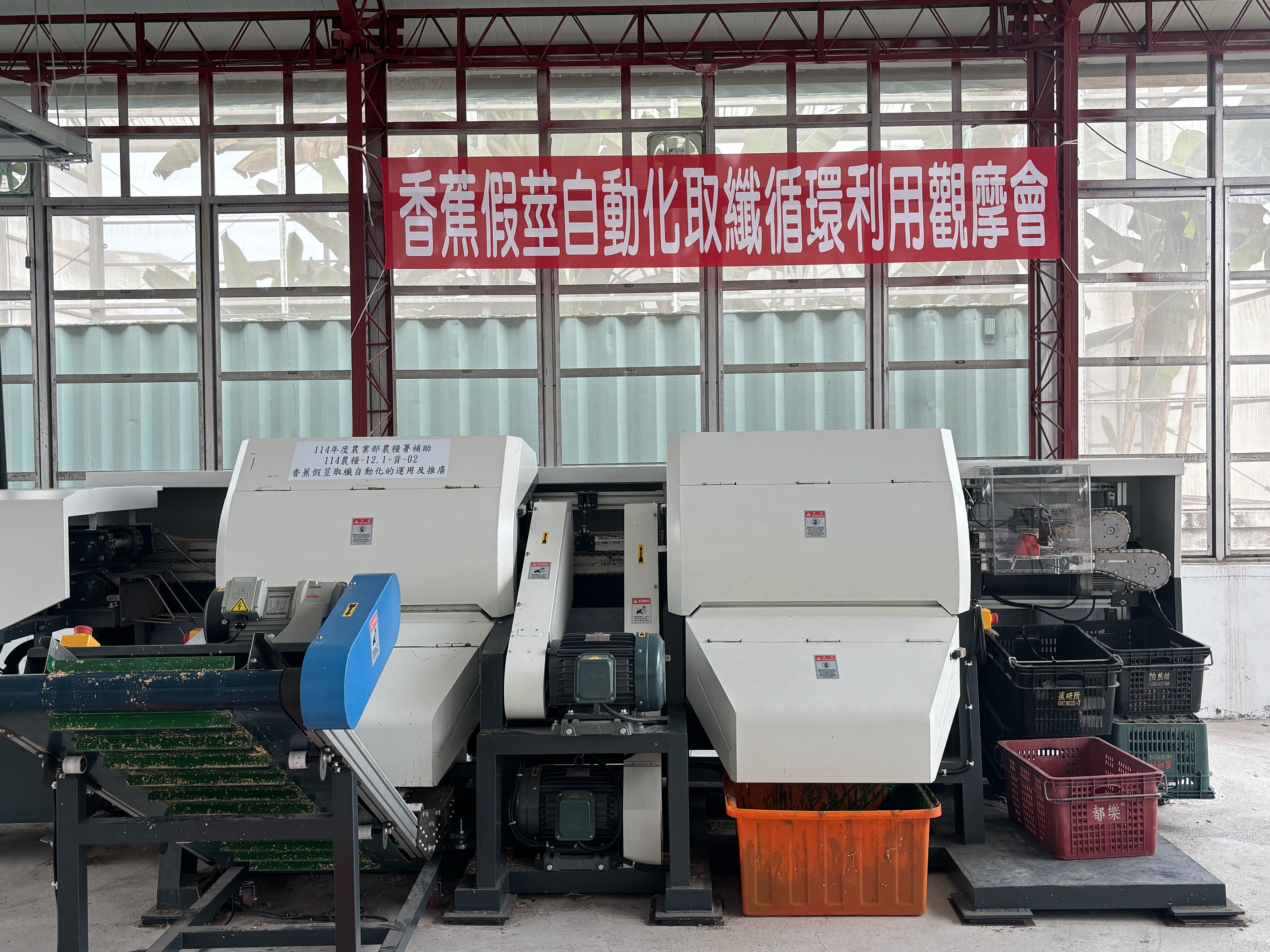 香蕉假莖變纖維材料　首座自動化取纖場啟用、延伸環保包材應用