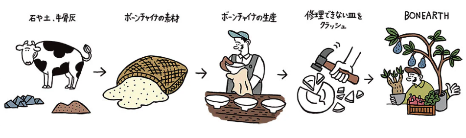 摔碎的骨瓷變肥料、再長成冰淇淋！日本百年餐瓷品牌打造食物循環新模式