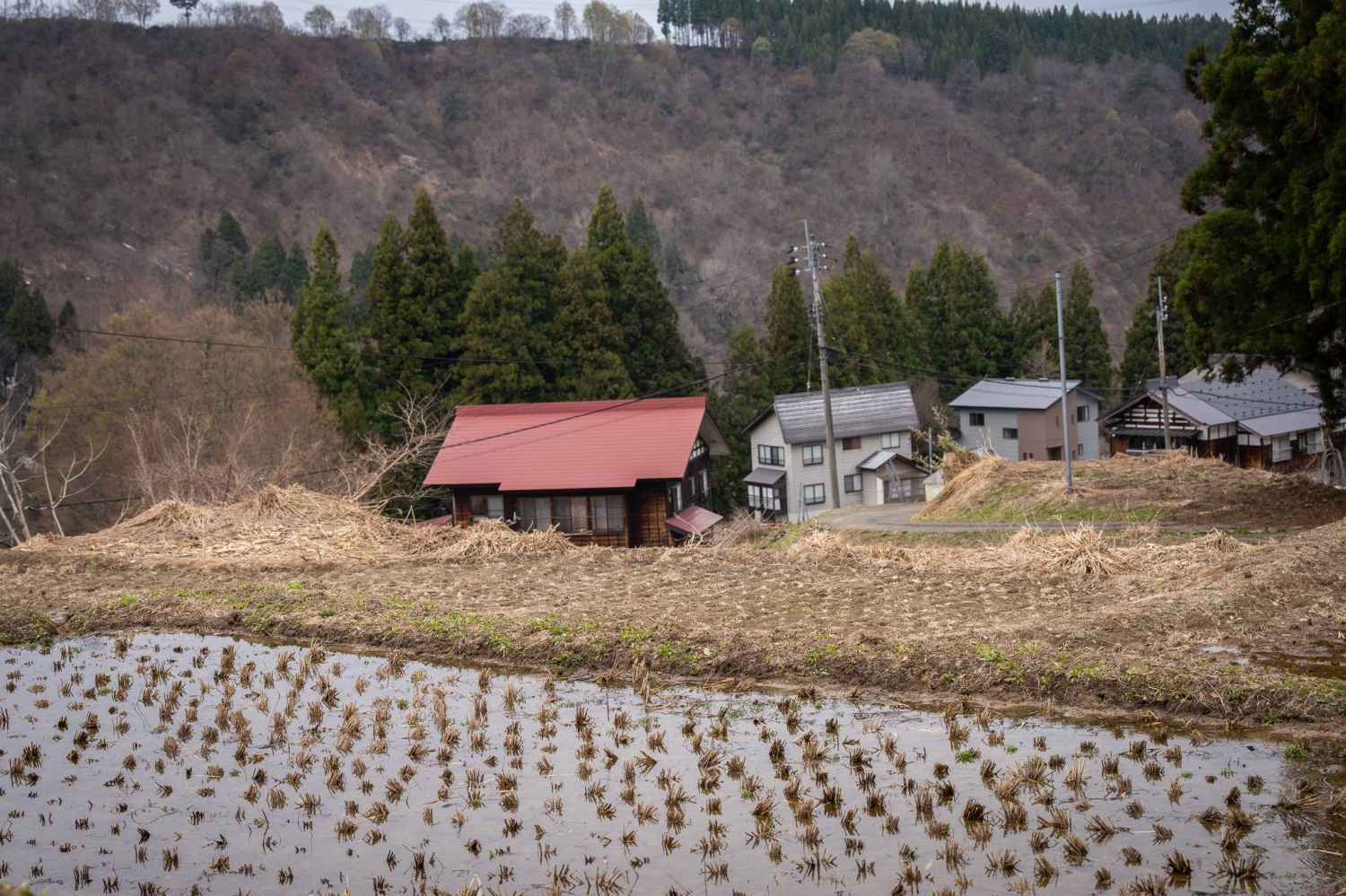 新潟70年來僅第3家新酒藏誕生　Snow Satoyama Sake用越光米挑戰清酒傳統
