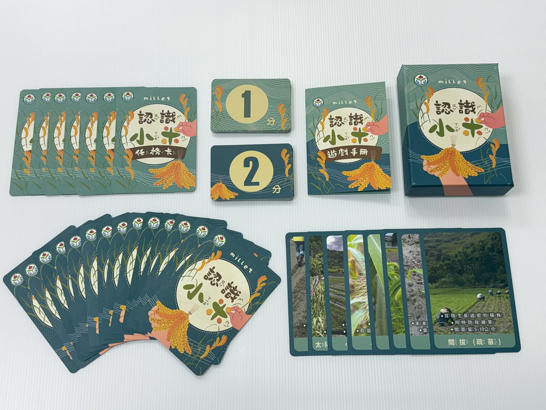 30張圖卡學懂小米的一生　台東農改場打造原民作物食農教材新模式