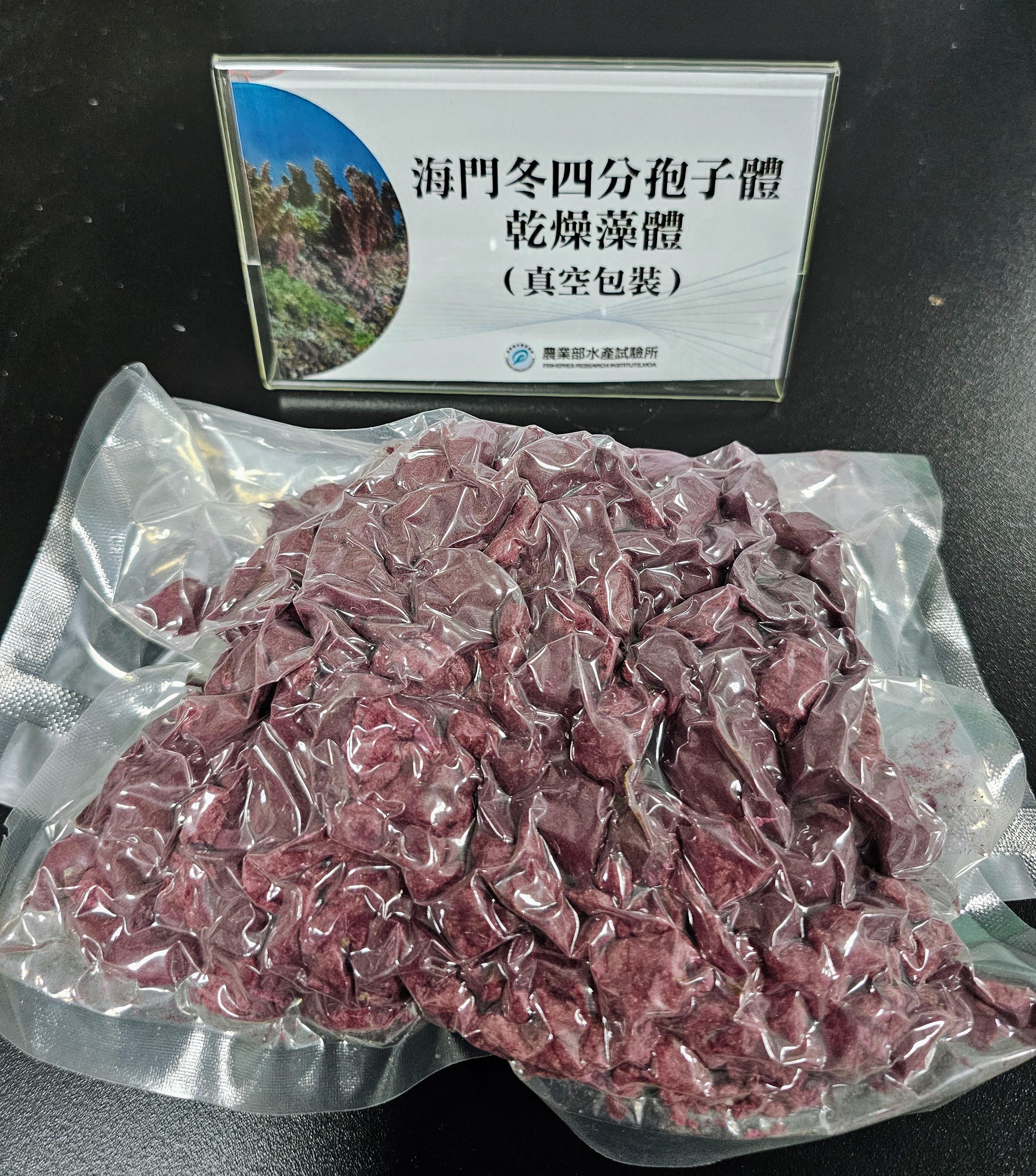 牛隻甲烷排放最高降99.78%！水試所打造低碳海門冬量產技術　助攻畜牧業減排