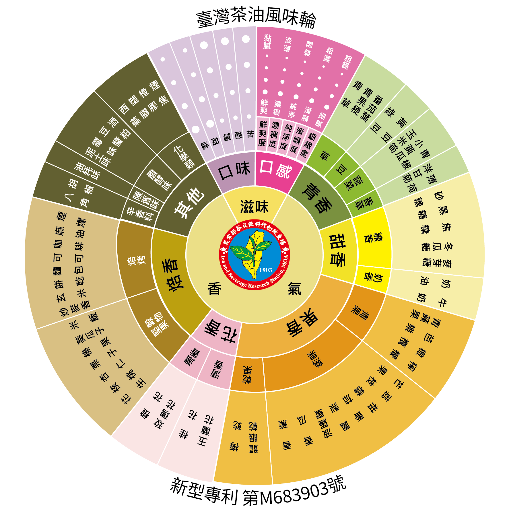 台灣茶油建立品質共同語言！風味輪結合分級制度　從清香、焙香到特選一次看懂